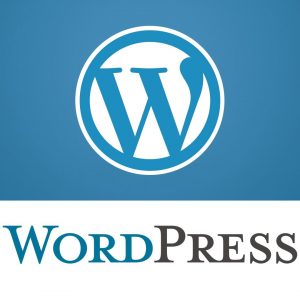 kurs-po-wordpress